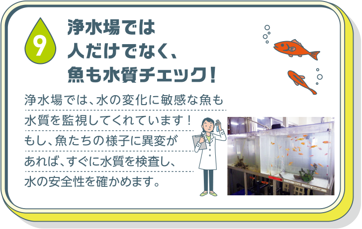 浄水場では人だけでなく、魚も水質チェック！